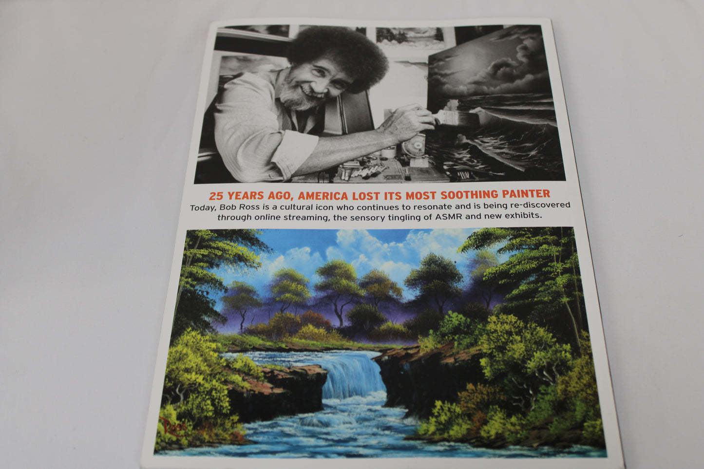 Bob Ross The Calm and Wisdom of the Beloved Painter Book