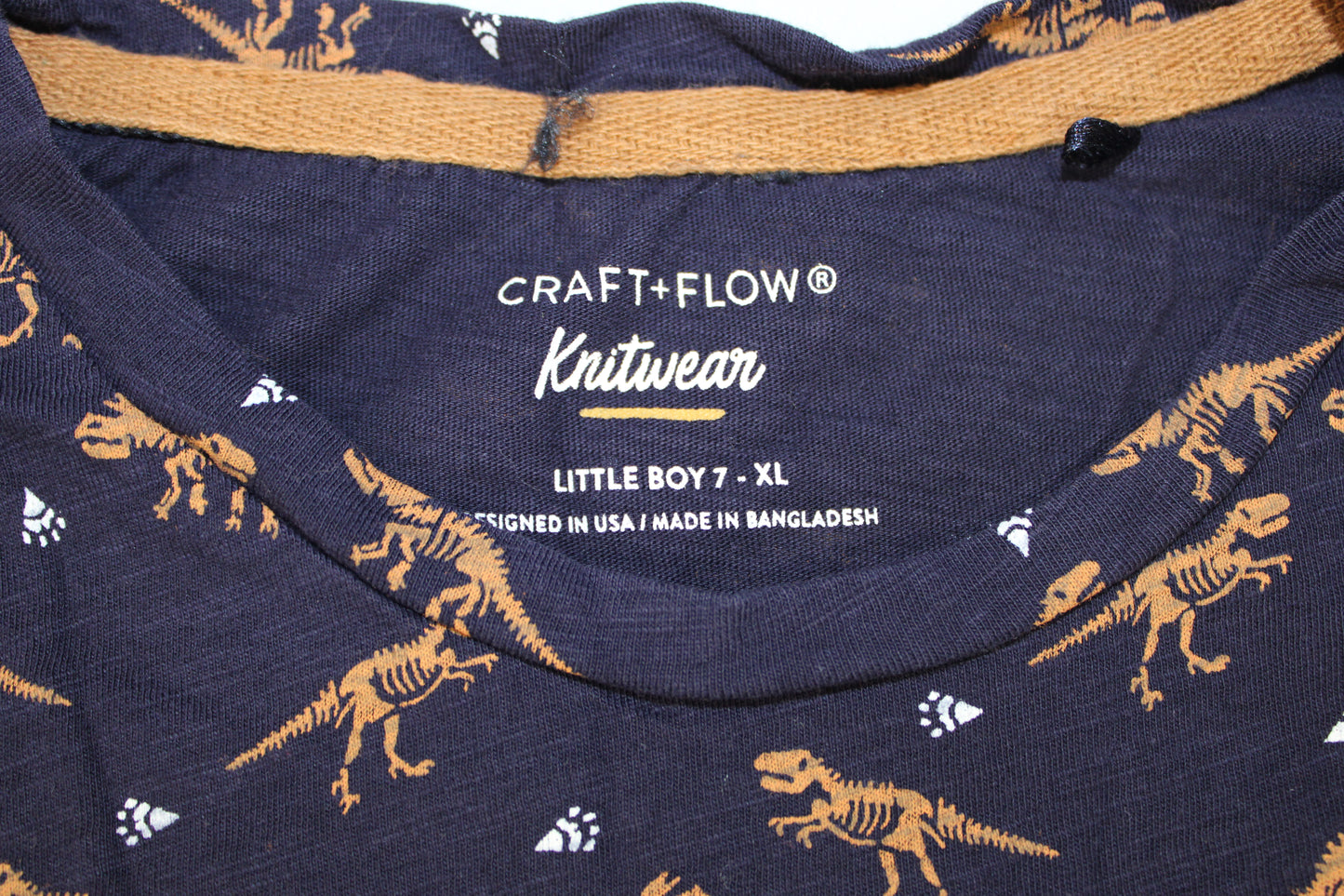 Craft & Flow Long Sleeve Dinosaur Shirt, Blue, Boys XL