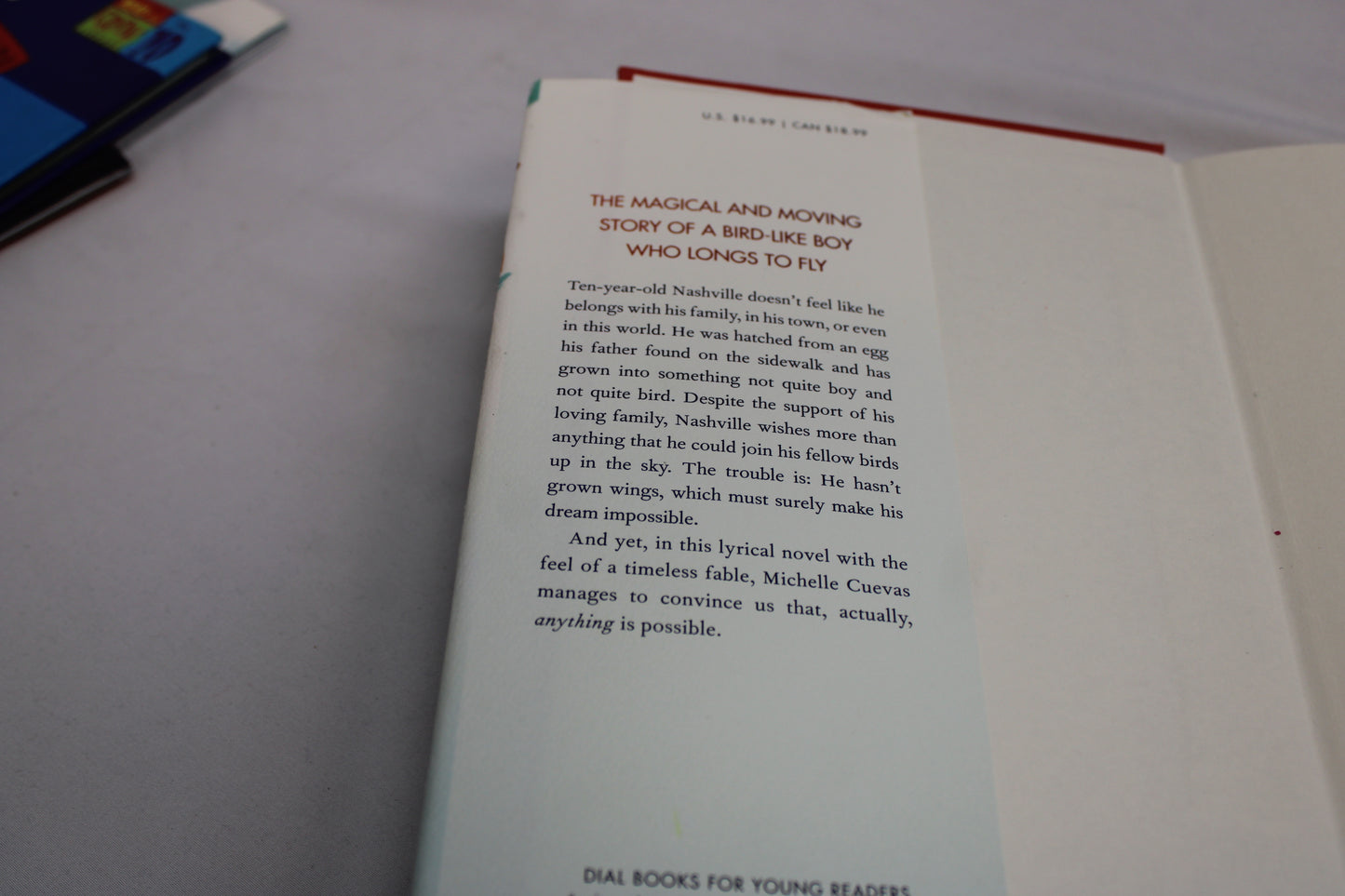 Beyond the Laughing Sky Book