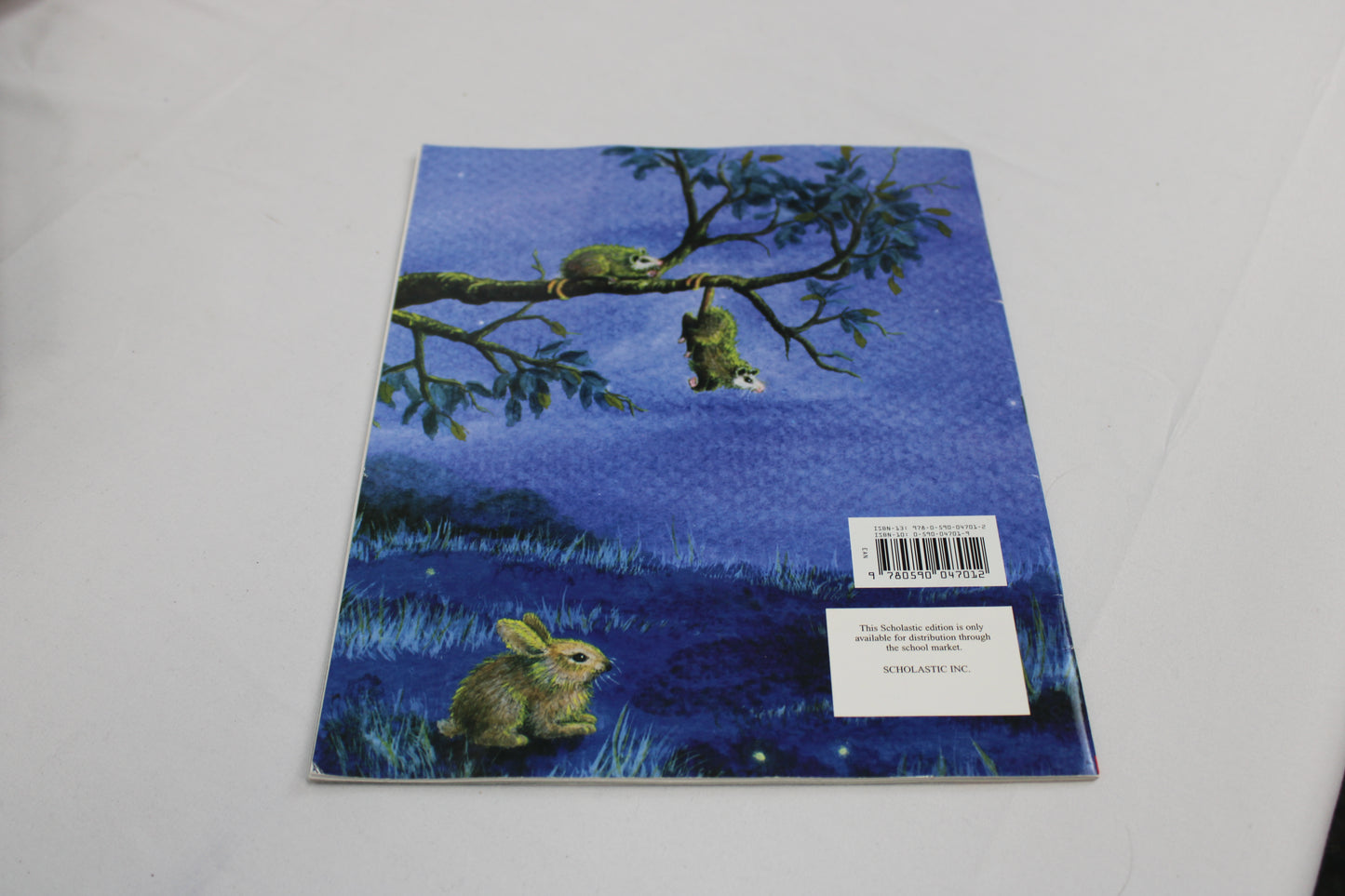 The Kissing Hand Book
