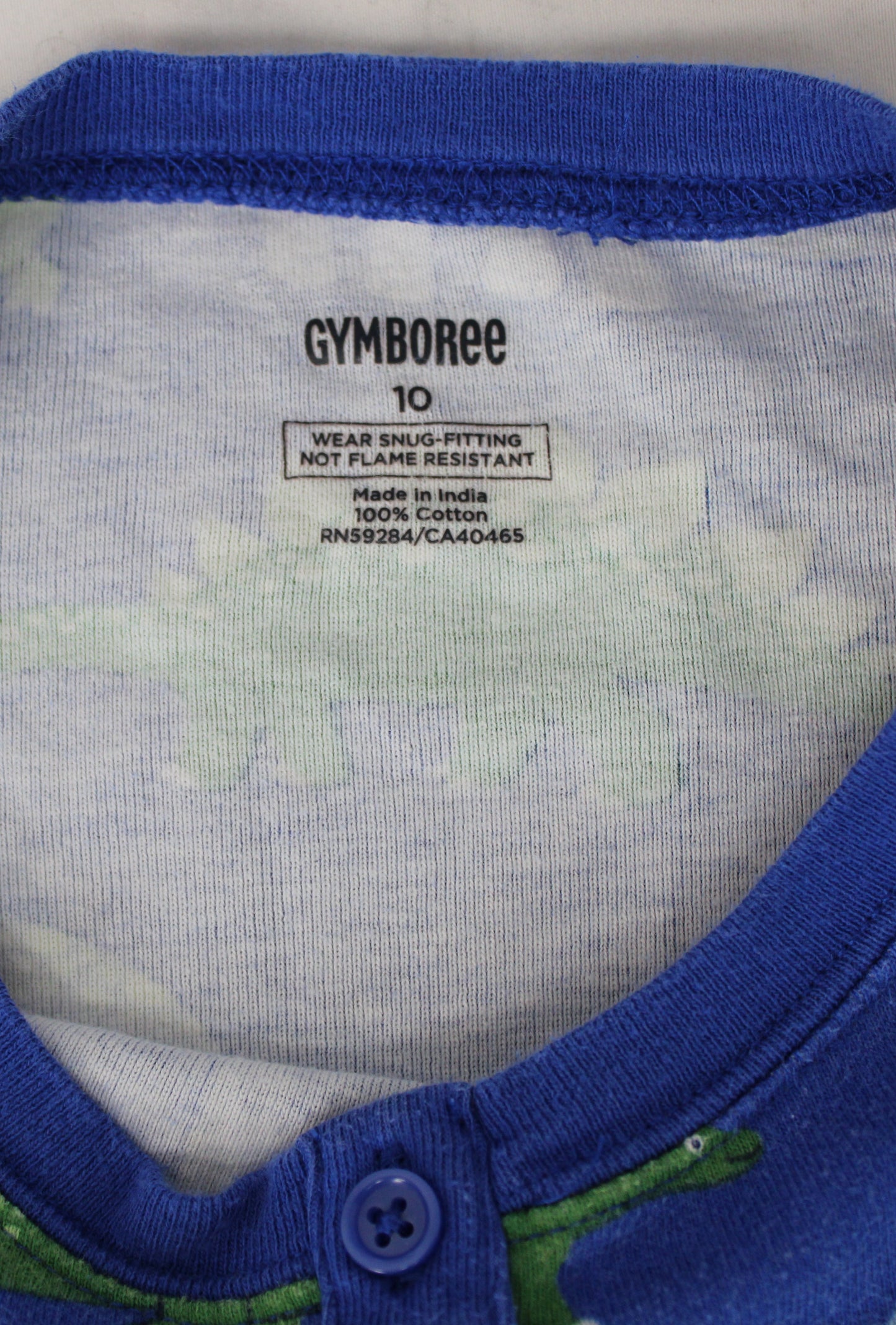 Gymboree Dinosaur Pajama Set, Blue, Youth L