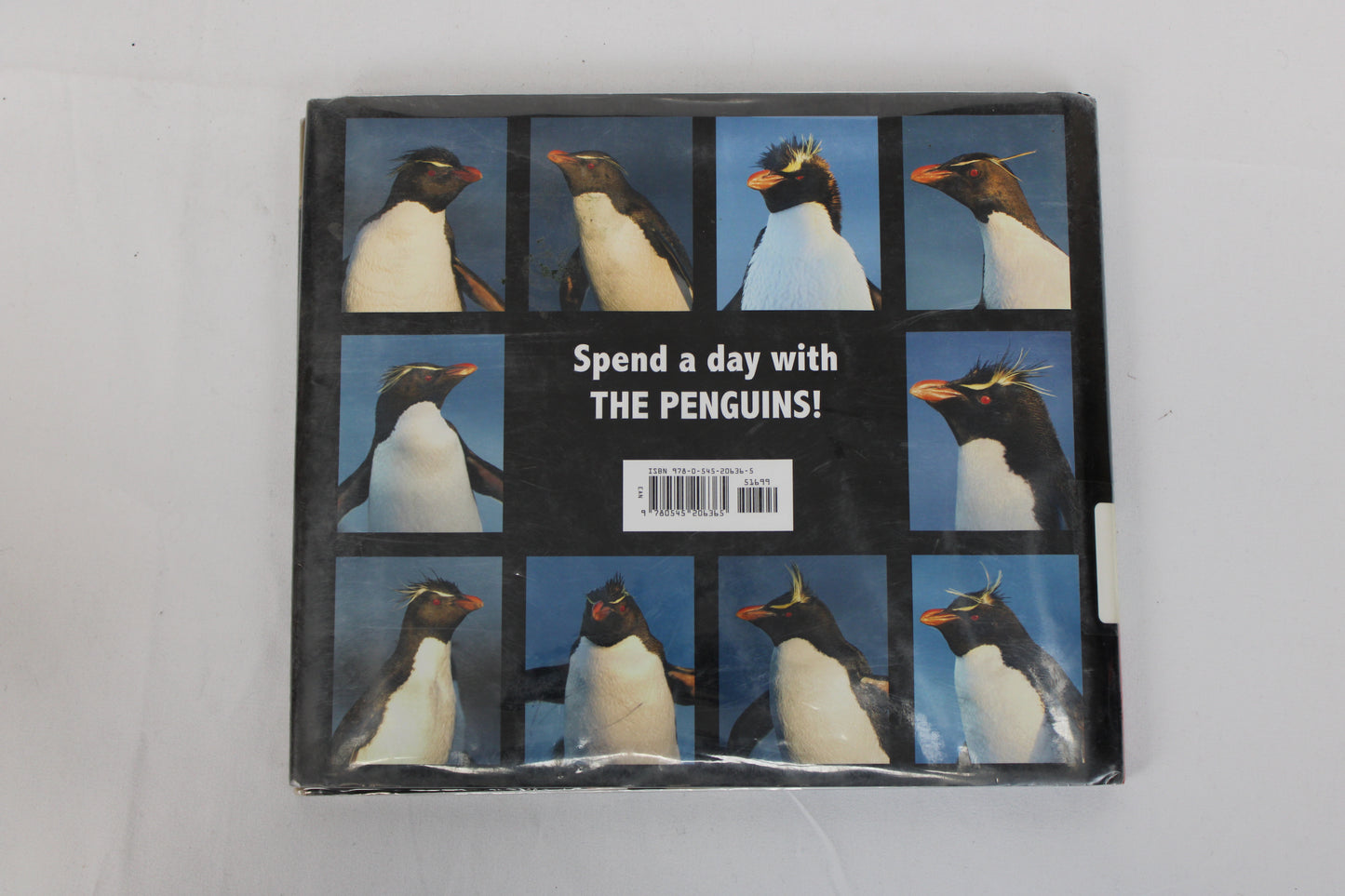 Penguin Day A Family Story Book