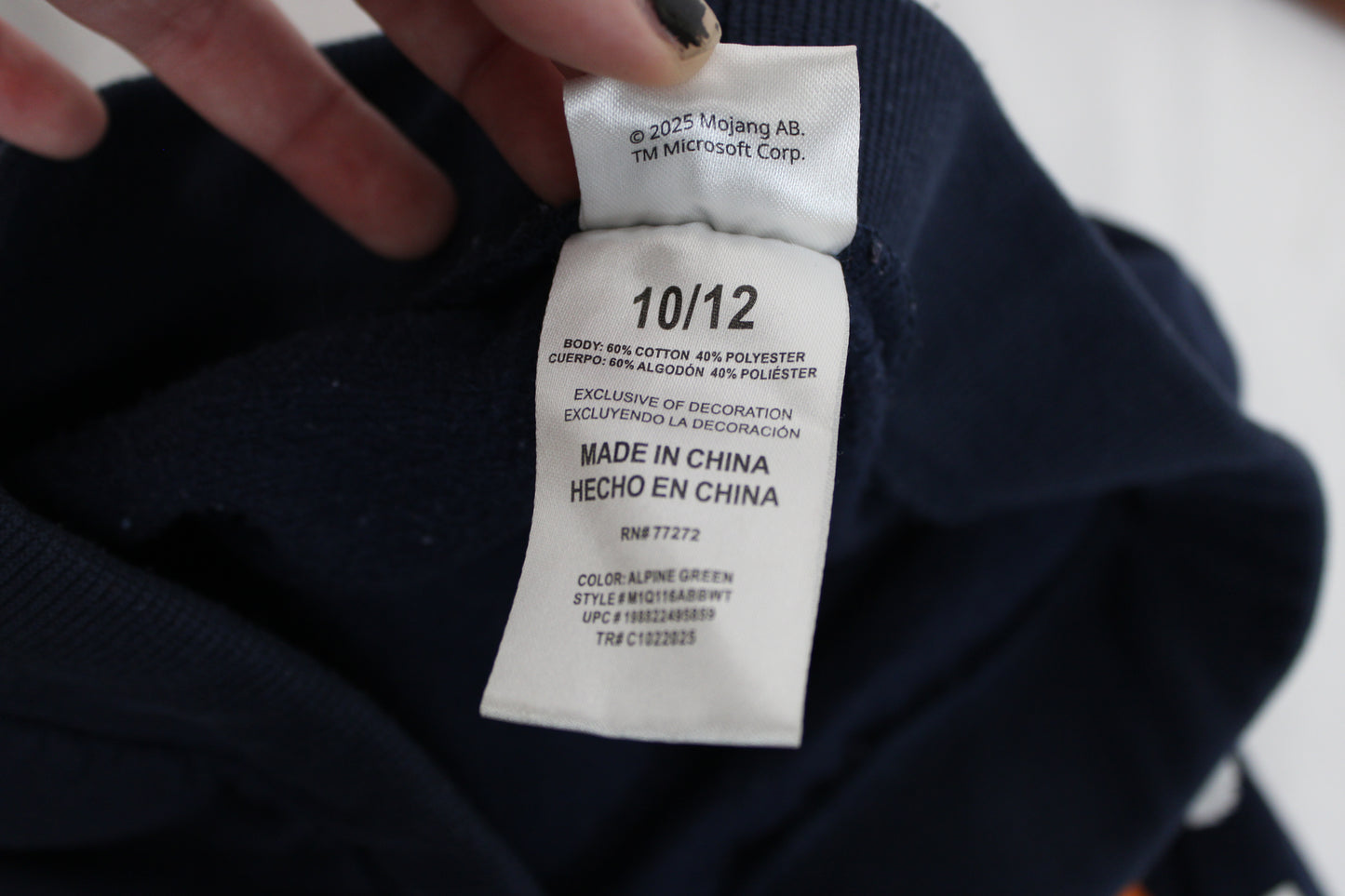 Minecraft Sweatpants, Blue, Boys 10/12