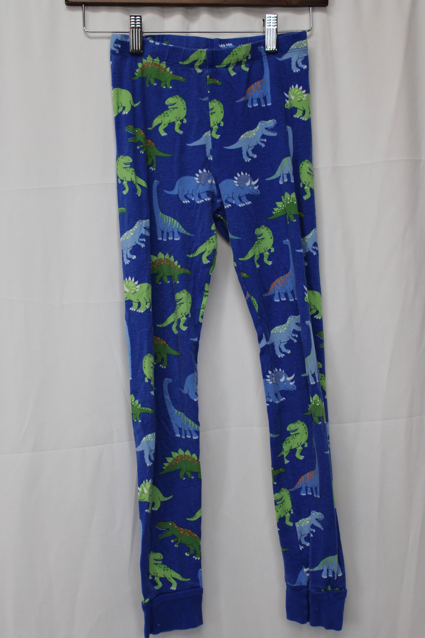Gymboree Dinosaur Pajama Set, Blue, Youth L