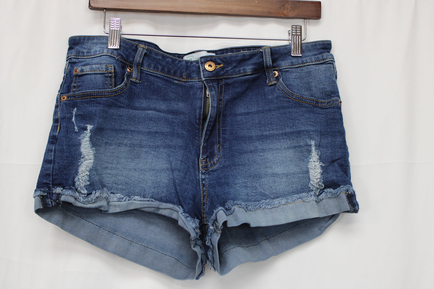 Regeneration Meadow Denim Shorts, Women’s 13/31