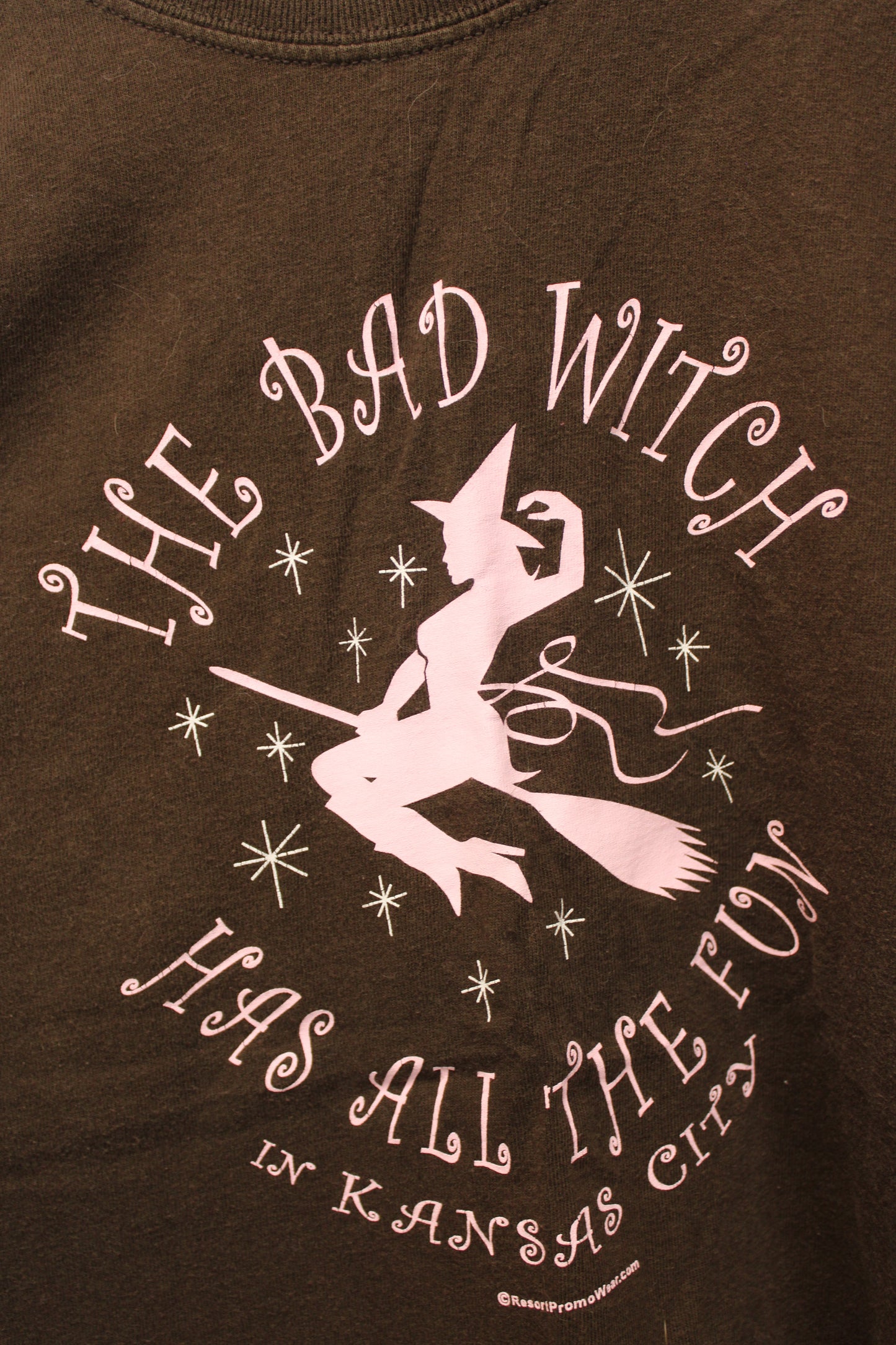 Gildan The Bad Witch Has All The Fun T-Shirt, Brown/Pink, Women’s XL