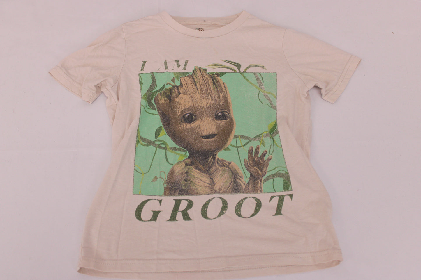 Marvel I Am Groot Short Sleeve Shirt, Boys S