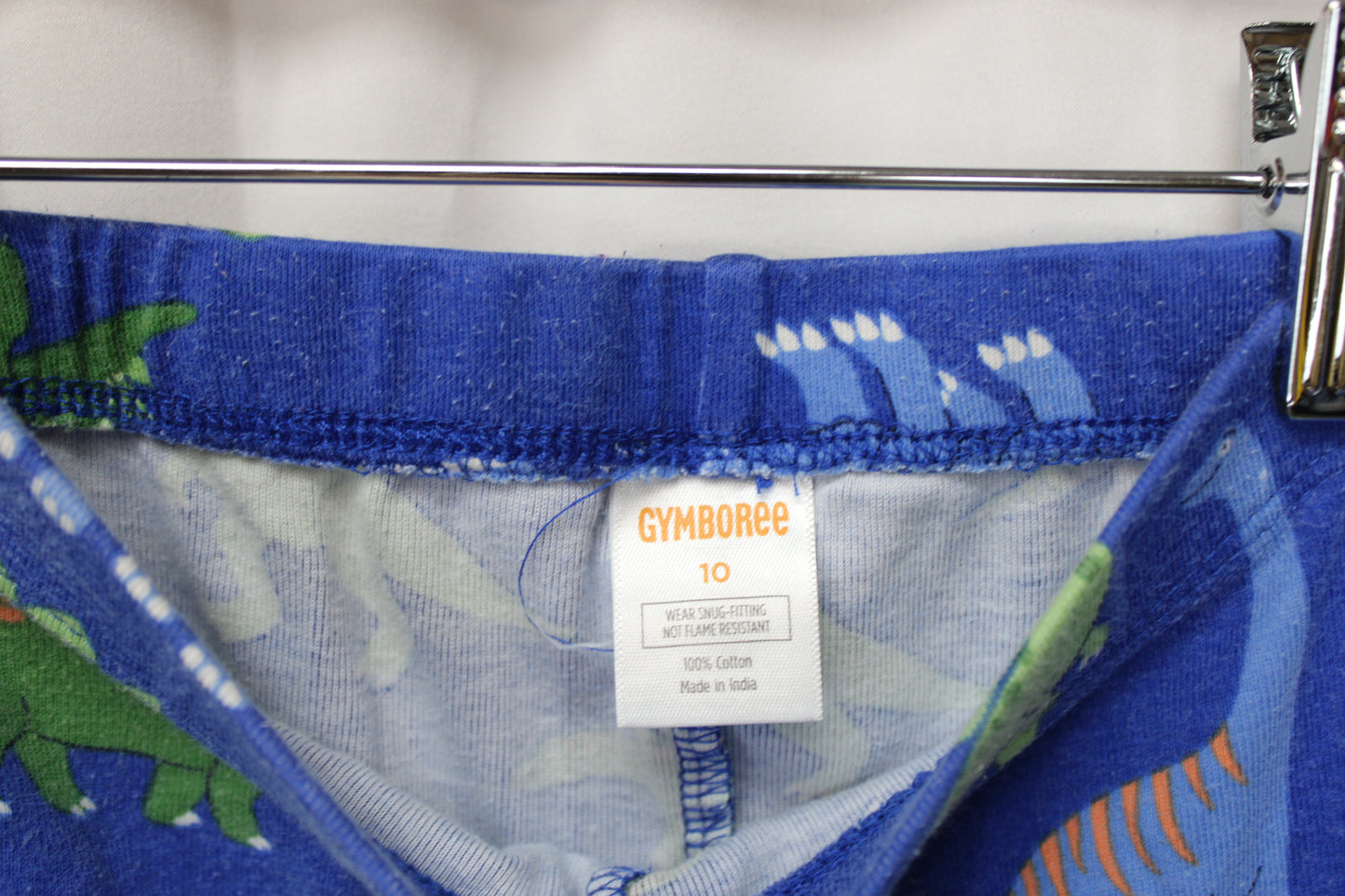 Gymboree Dinosaur Pajama Set, Blue, Youth L