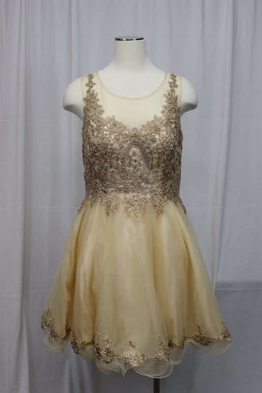 Lenovia Applique Short Sleeveless A-line Dress, Gold, Women’s XL