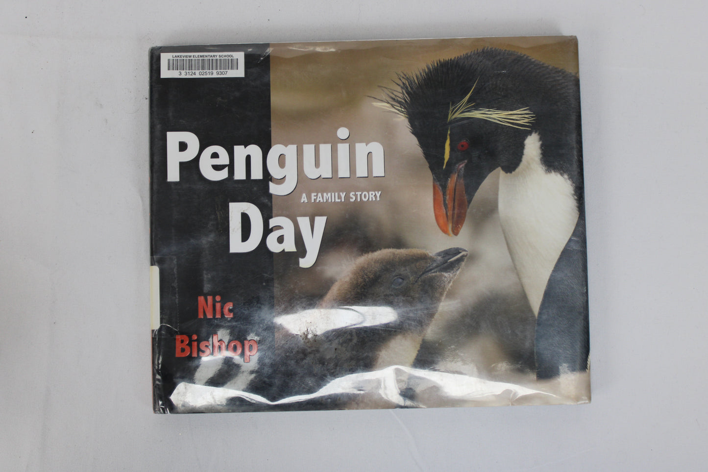 Penguin Day A Family Story Book