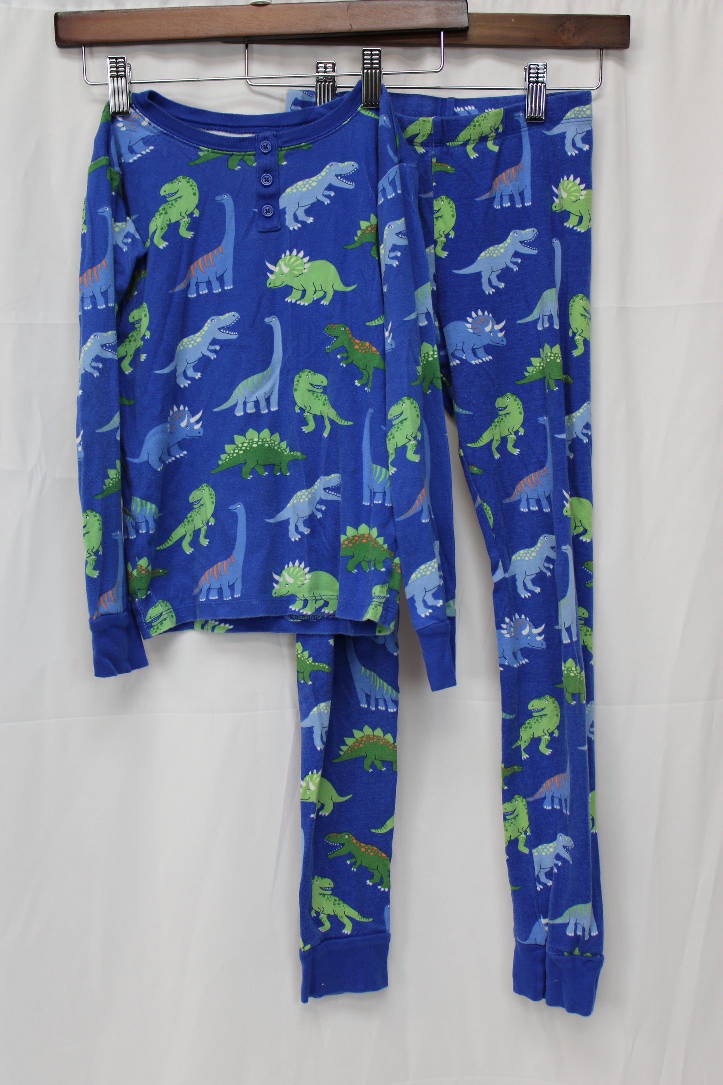 Gymboree Dinosaur Pajama Set, Blue, Youth L