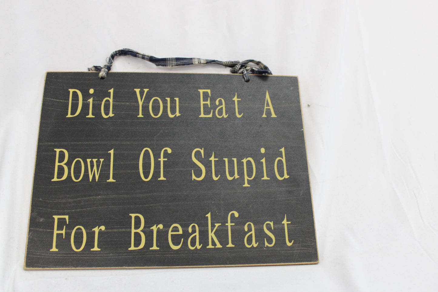 Decorative Sign - Did you eat a bowl of stupid for breakfast