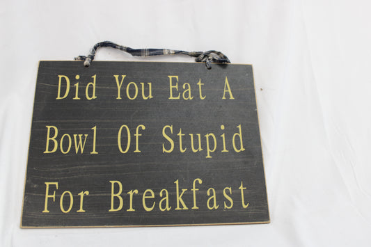 Decorative Sign - Did you eat a bowl of stupid for breakfast