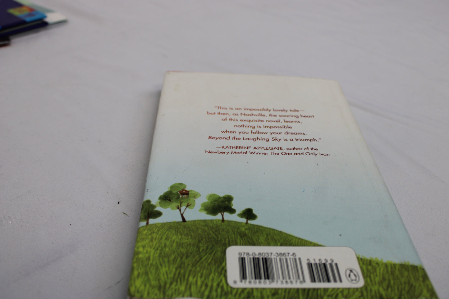 Beyond the Laughing Sky Book