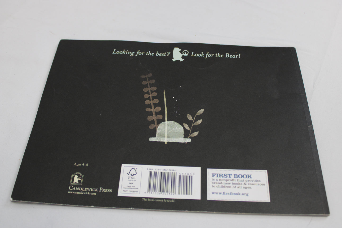 This is Not my Hat book