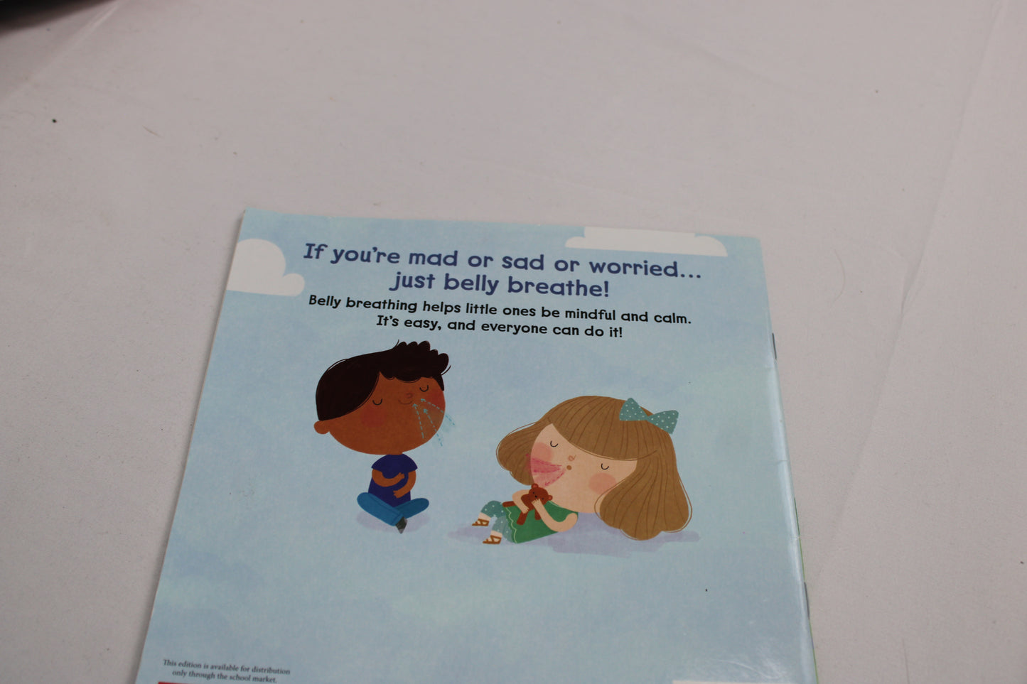 Belly Breathe Book