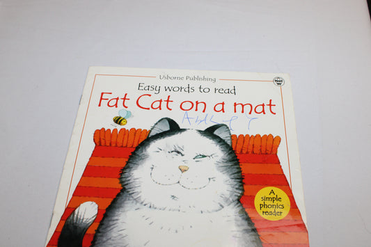 Fat Cat on a Mat book
