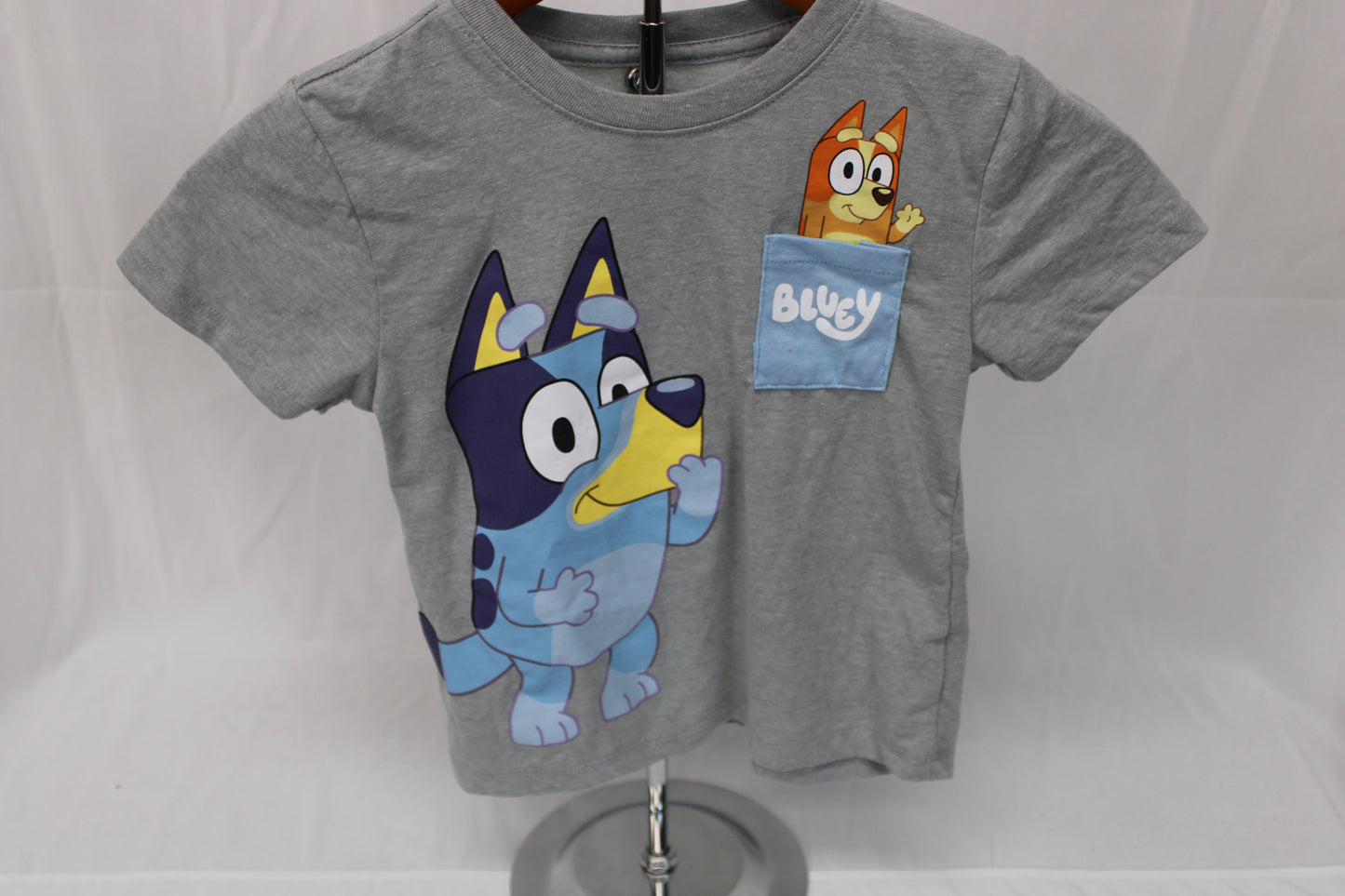 Bluey cotton short sleeve graphic t-shirt, 4T