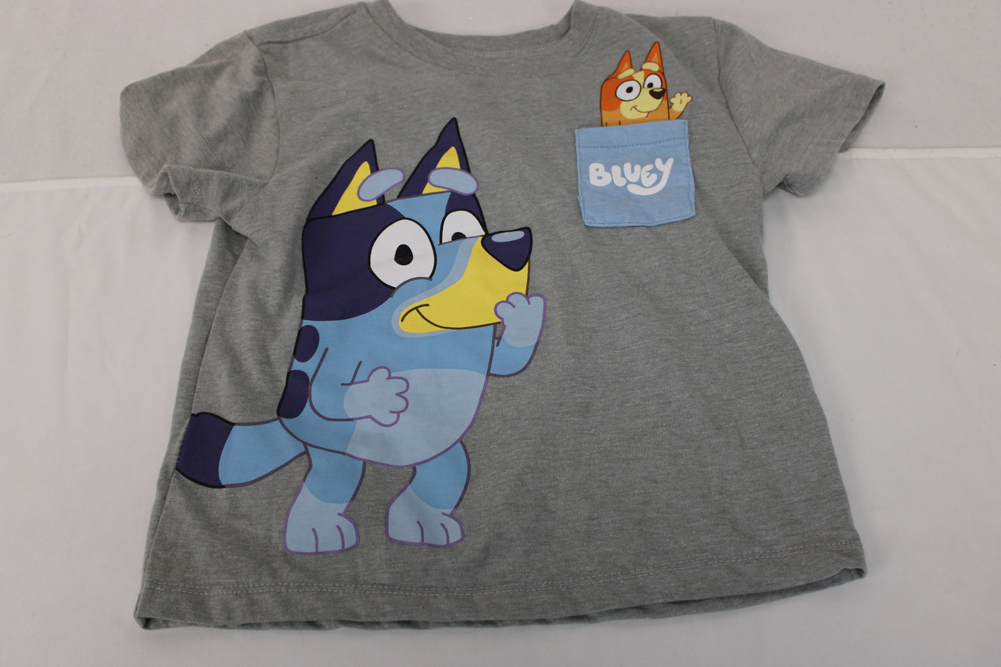 Bluey cotton short sleeve graphic t-shirt, 4T