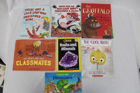Scholastic 7 piece children's book bundle