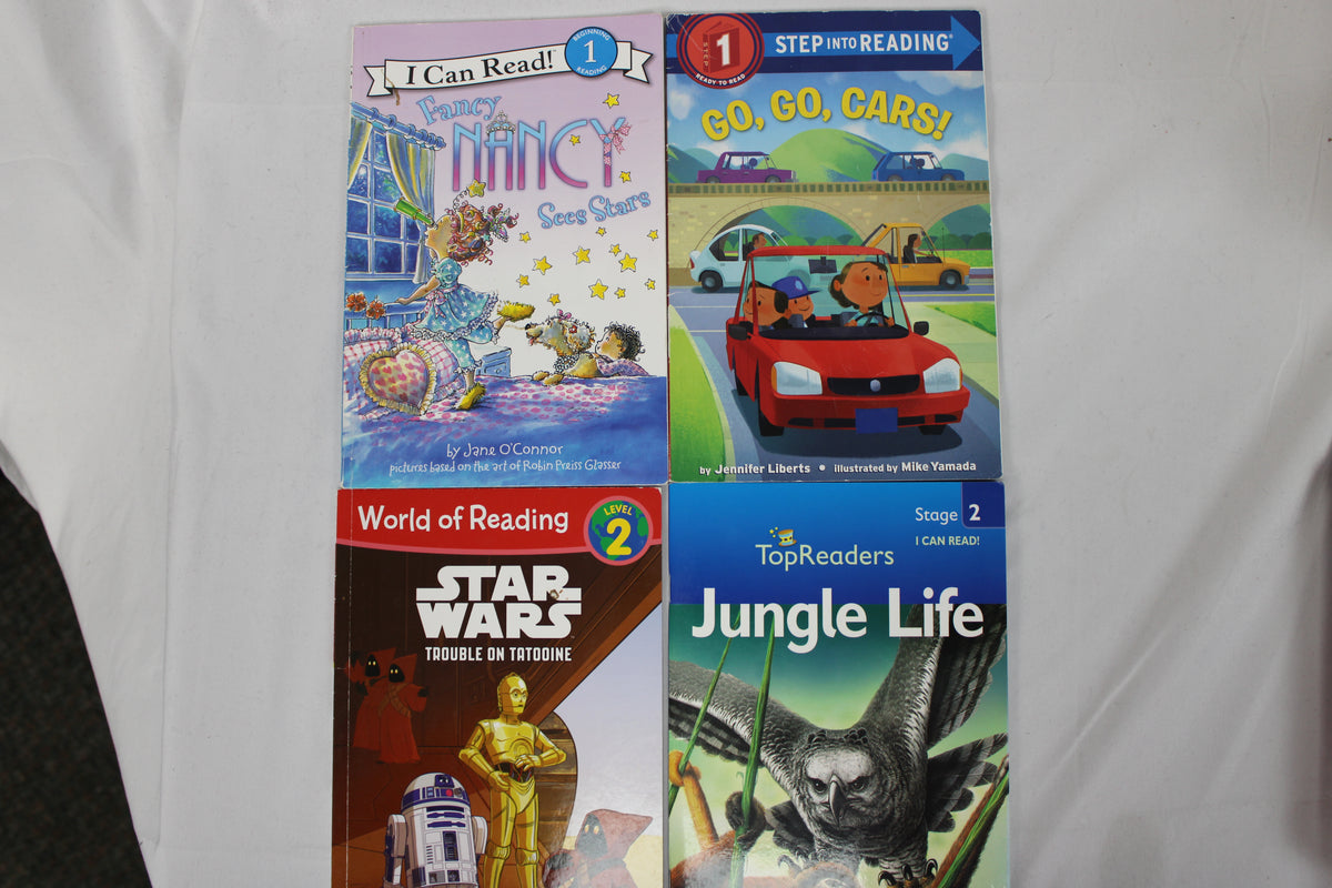 4 Book Bundle