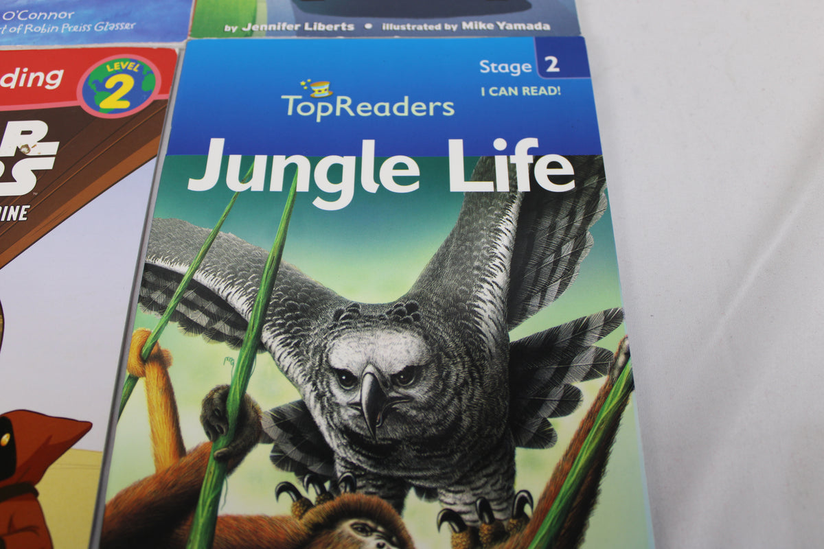 4 Book Bundle